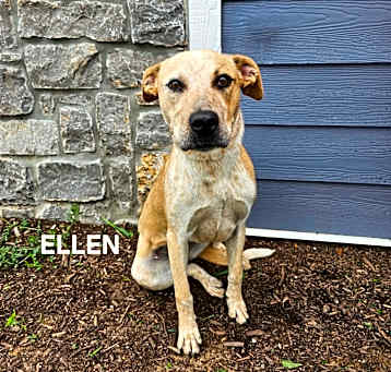 Photo of Ellen