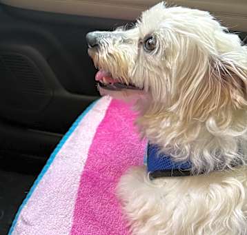 Photo of Sally