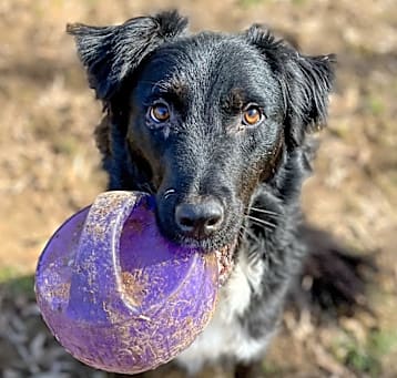 Photo of Uma