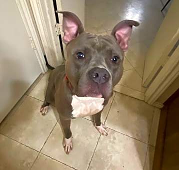Photo of Kilo