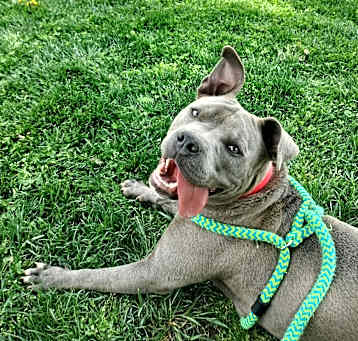 Photo of Addie