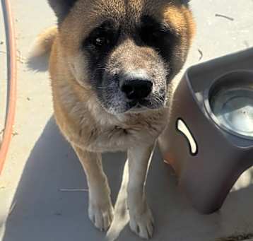 Photo of HaRuko