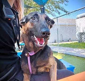 Photo of *MOXIE