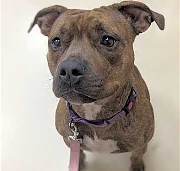 Photo of ASPEN