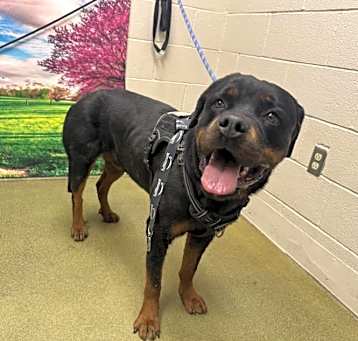 Photo of LUCY