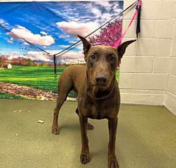 Photo of A542981