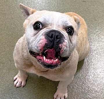 Photo of MOLLY