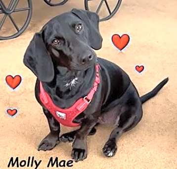 Photo of Molly Mae