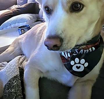 Photo of Bubba