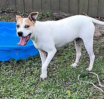 Photo of Maverick