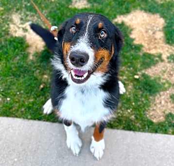 Photo of Spud
