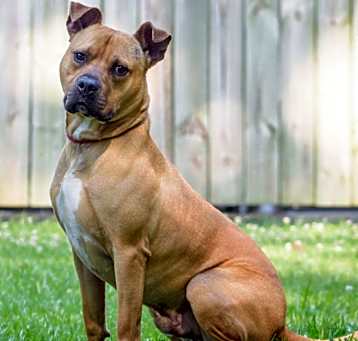 Photo of Jessie