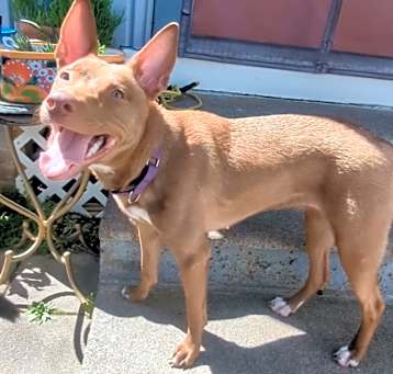 Photo of Nora