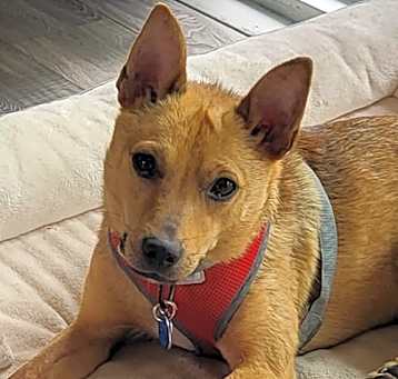 Photo of Wylie