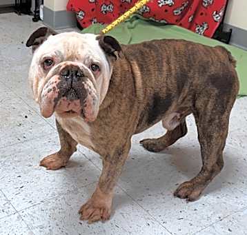 Photo of Tank