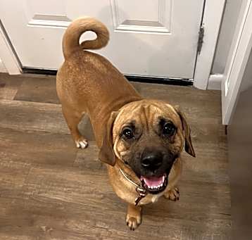 Photo of Bilbo