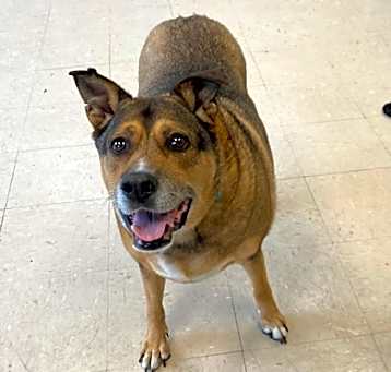 Photo of Baby (Special Paws) (bonded wi
