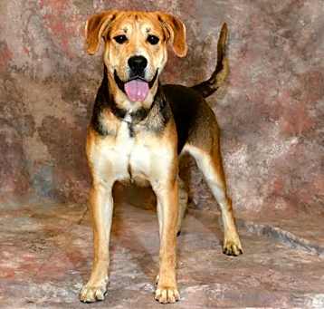 Photo of TANNER
