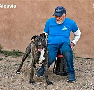 Photo of ALESSIA