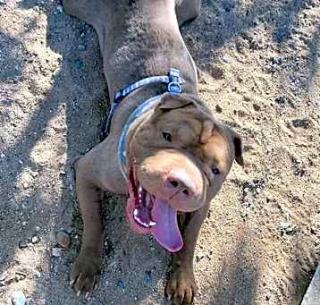 Photo of MR. CHUNK