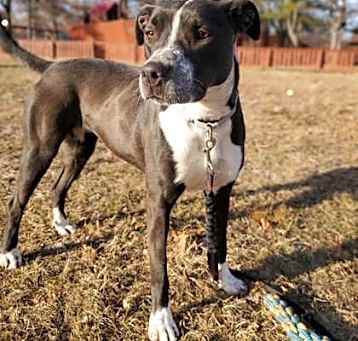 Photo of Sugar