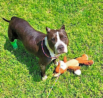 Photo of Lexie