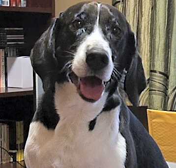 Photo of Ruby