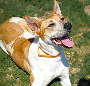 Photo of Hazel