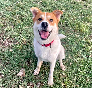 Photo of Sunny
