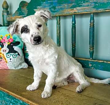 Photo of Miko