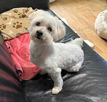 Photo of Manny