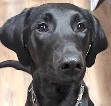 Photo of SADIE MAE