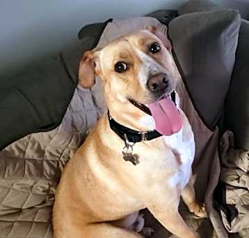 Photo of Spud
