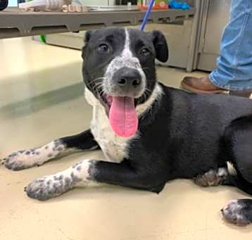 Photo of Lucky DIRA 5/27/25