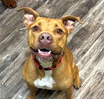 Photo of Bruce