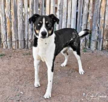 Photo of BONITA
