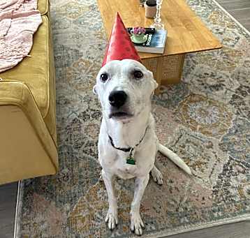 Photo of Tucker