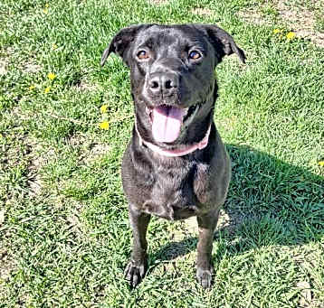Photo of DAISY
