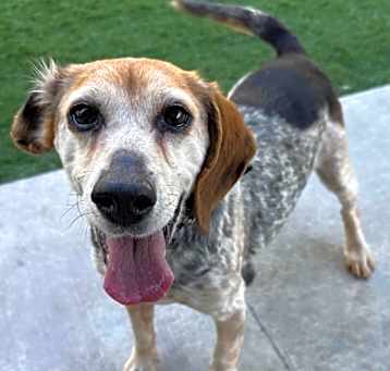 Photo of Clarabelle