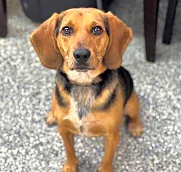Photo of Pippen