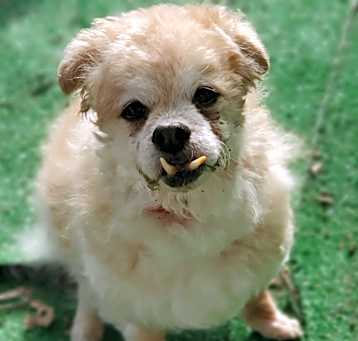 Photo of Spencer