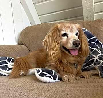 Photo of Mimi