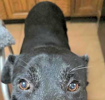 Photo of Jax Black