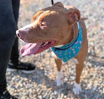 Photo of OTIS