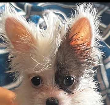 Photo of Little dude