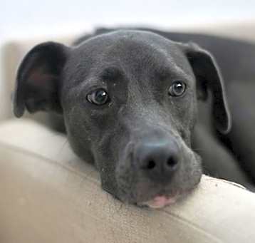 Photo of Greta