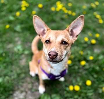 Photo of Princess