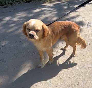 Photo of RUPERT