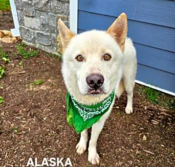 Photo of Alaska