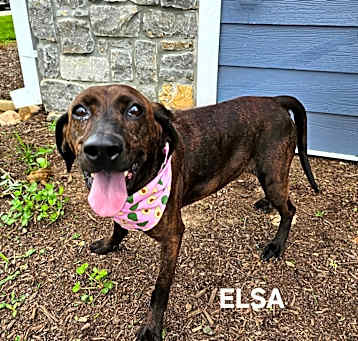 Photo of Elsa